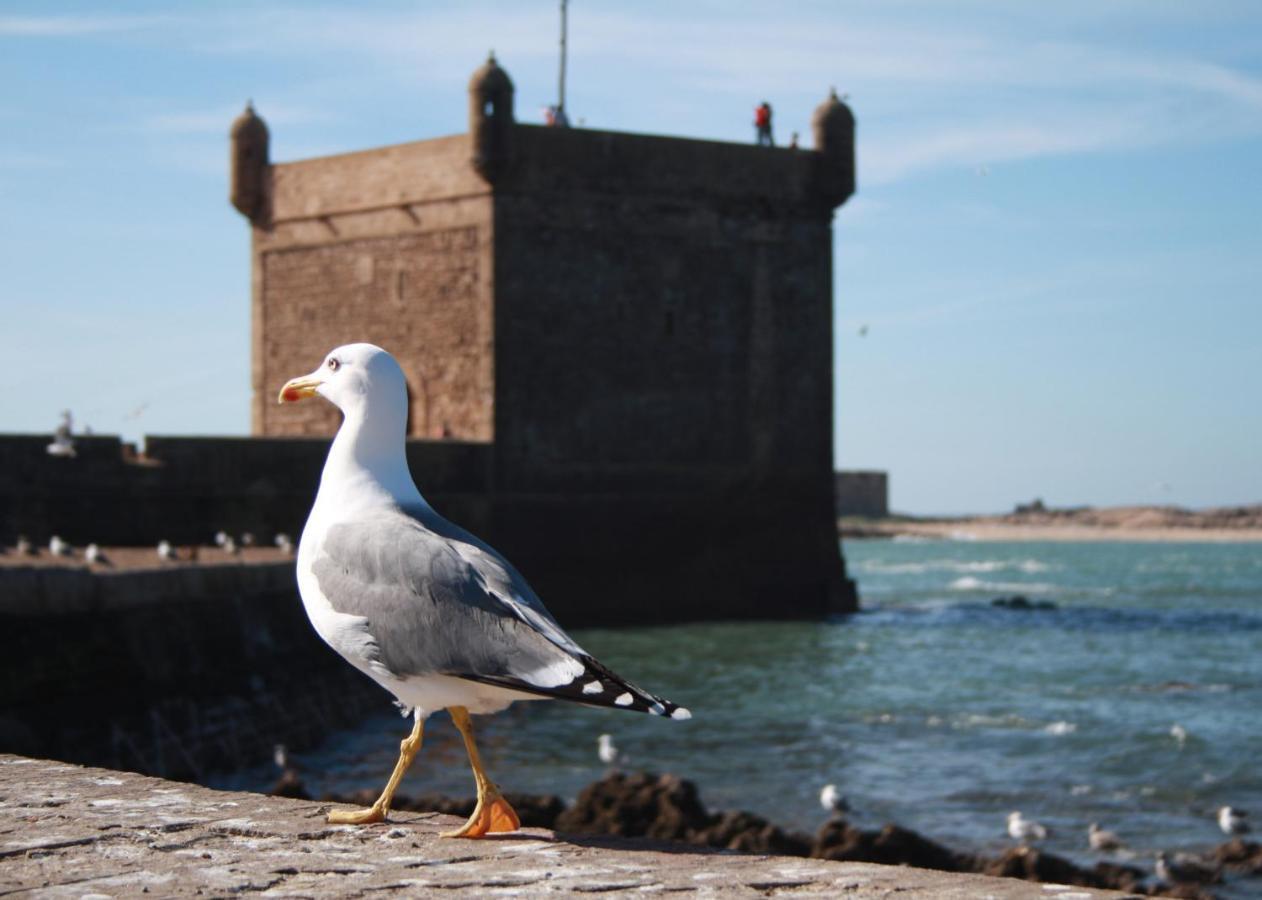 Dar Tranquille Hotell Essaouira Eksteriør bilde